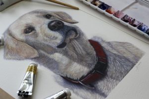Golden Retriever painted in watercolour with red collar. Tubes of watercolour paint next to it.